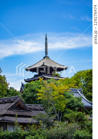 【京都風景】仁和寺　池泉越しの五重塔と気品ある庭 129276474