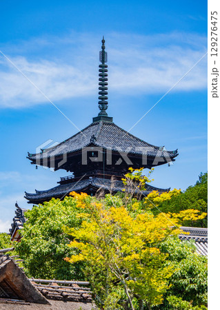 【京都風景】仁和寺　池泉越しの五重塔と気品ある庭 129276475