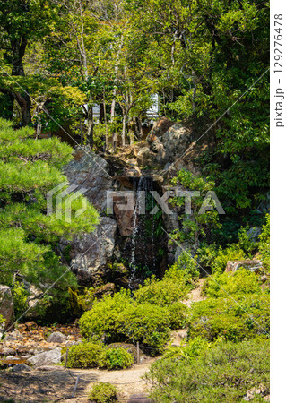 【京都風景】仁和寺　池泉越しの五重塔と気品ある庭 129276478