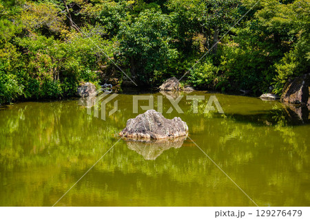 【京都風景】仁和寺　池泉越しの五重塔と気品ある庭 129276479
