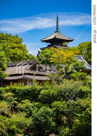 【京都風景】仁和寺 池泉越しの五重塔と気品ある庭 【京都風景】仁和寺 池泉越しの五重塔と気品ある庭 129276485