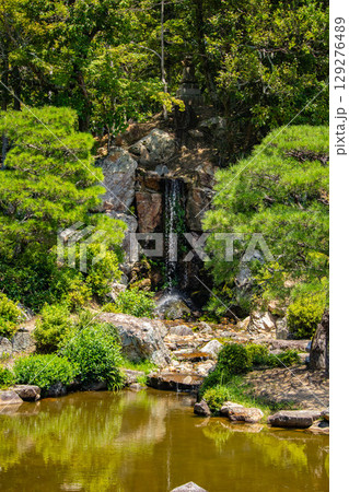 【京都風景】仁和寺　池泉越しの五重塔と気品ある庭 129276489