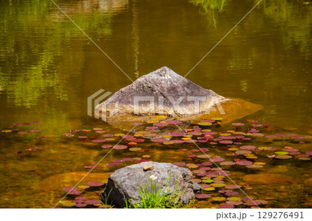【京都風景】仁和寺　池泉越しの五重塔と気品ある庭 129276491