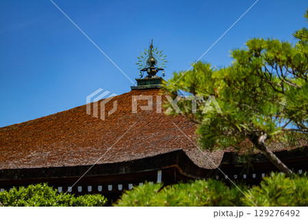 【京都風景】仁和寺　池泉越しの五重塔と気品ある庭 129276492