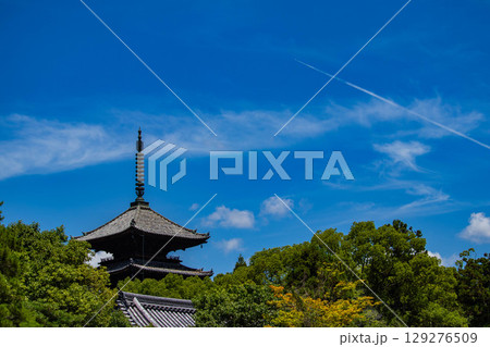 【京都風景】仁和寺　池泉越しの五重塔と気品ある庭 129276509