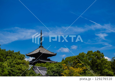 【京都風景】仁和寺 池泉越しの五重塔と気品ある庭 【京都風景】仁和寺 池泉越しの五重塔と気品ある庭 129276510