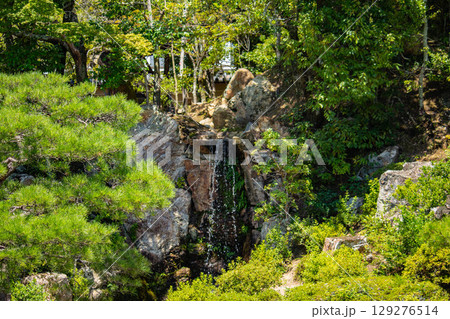 【京都風景】仁和寺　池泉越しの五重塔と気品ある庭 129276514