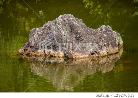 【京都風景】仁和寺　池泉越しの五重塔と気品ある庭 129276515