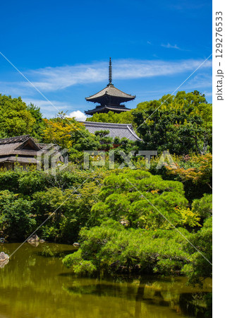 【京都風景】仁和寺 池泉越しの五重塔と気品ある庭 【京都風景】仁和寺 池泉越しの五重塔と気品ある庭 129276533