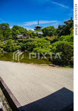 【京都風景】仁和寺 池泉越しの五重塔と気品ある庭 【京都風景】仁和寺 池泉越しの五重塔と気品ある庭 129276534