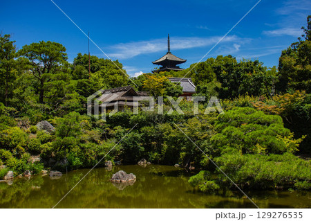 【京都風景】仁和寺　池泉越しの五重塔と気品ある庭 129276535