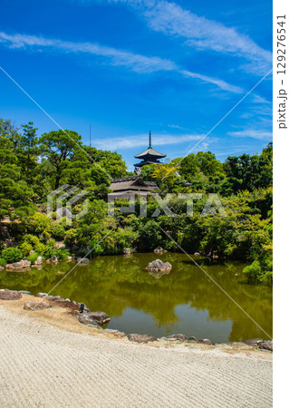 【京都風景】仁和寺 池泉越しの五重塔と気品ある庭 【京都風景】仁和寺 池泉越しの五重塔と気品ある庭 129276541