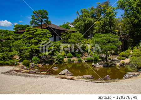【京都風景】仁和寺　池泉越しの五重塔と気品ある庭 129276549