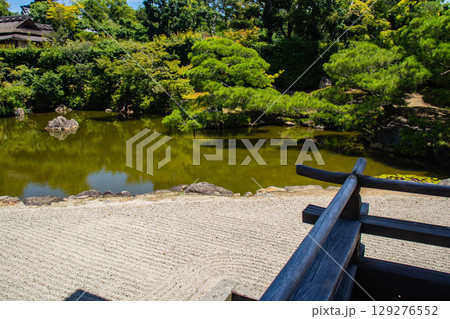 【京都風景】仁和寺　池泉越しの五重塔と気品ある庭 129276552