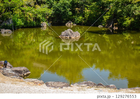 【京都風景】仁和寺 池泉越しの五重塔と気品ある庭 【京都風景】仁和寺 池泉越しの五重塔と気品ある庭 129276553