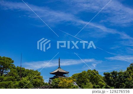 【京都風景】仁和寺　池泉越しの五重塔と気品ある庭 129276556