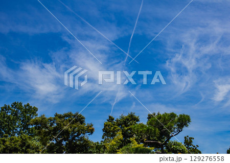 【京都風景】仁和寺 池泉越しの五重塔と気品ある庭 【京都風景】仁和寺 池泉越しの五重塔と気品ある庭 129276558