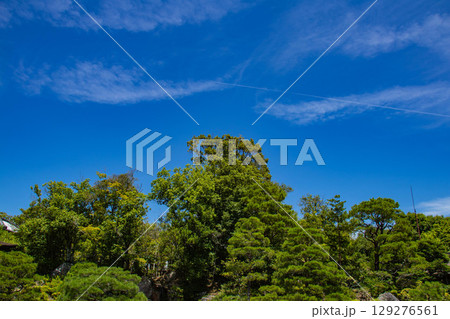 【京都風景】仁和寺　池泉越しの五重塔と気品ある庭 129276561