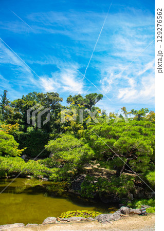 【京都風景】仁和寺　池泉越しの五重塔と気品ある庭 129276562