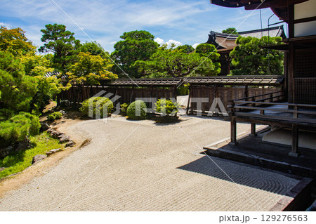【京都風景】仁和寺　池泉越しの五重塔と気品ある庭 129276563
