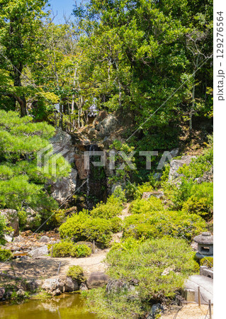 【京都風景】仁和寺　池泉越しの五重塔と気品ある庭 129276564