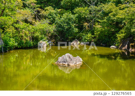 【京都風景】仁和寺 池泉越しの五重塔と気品ある庭 【京都風景】仁和寺 池泉越しの五重塔と気品ある庭 129276565