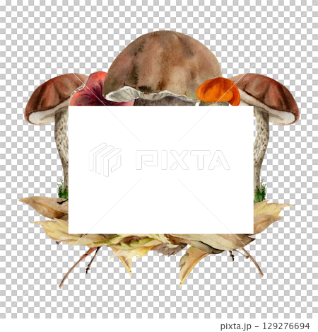 Bolete cep mushroom on top of autumn leaves pile with twigs. Fungi forest harvest, edible raw ingredient for vegan cooking. Copy space frame hand drawn in watercolor. Seasonal planner, menu cookbook Bolete cep mushroom on top of autumn leaves pile with twigs. Fungi forest harvest, edible raw ingredient for vegan cooking. Copy space frame hand drawn in watercolor. Seasonal planner, menu cookbook 129276694