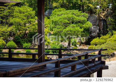 【京都風景】仁和寺　池泉越しの五重塔と気品ある庭 129276962