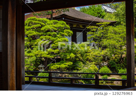 【京都風景】仁和寺　池泉越しの五重塔と気品ある庭 129276963