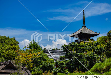 【京都風景】仁和寺　池泉越しの五重塔と気品ある庭 129276967