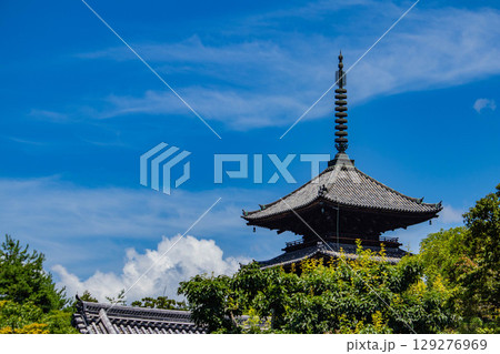【京都風景】仁和寺　池泉越しの五重塔と気品ある庭 129276969