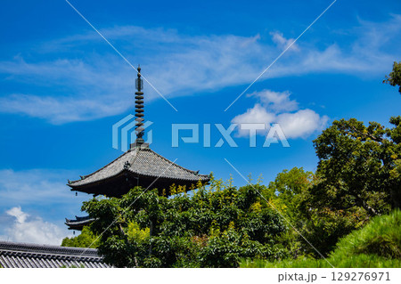 【京都風景】仁和寺　池泉越しの五重塔と気品ある庭 129276971