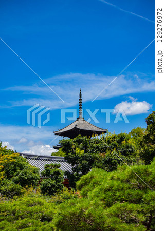 【京都風景】仁和寺　池泉越しの五重塔と気品ある庭 129276972