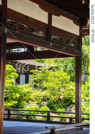 【京都風景】仁和寺 池泉越しの五重塔と気品ある庭 【京都風景】仁和寺 池泉越しの五重塔と気品ある庭 129276976