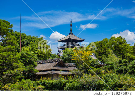 【京都風景】仁和寺　池泉越しの五重塔と気品ある庭 129276978