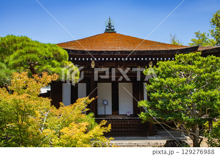 【京都風景】仁和寺　池泉越しの五重塔と気品ある庭 129276988