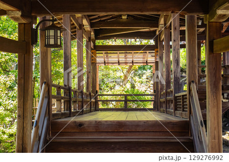 【京都風景】仁和寺 池泉越しの五重塔と気品ある庭 【京都風景】仁和寺 池泉越しの五重塔と気品ある庭 129276992