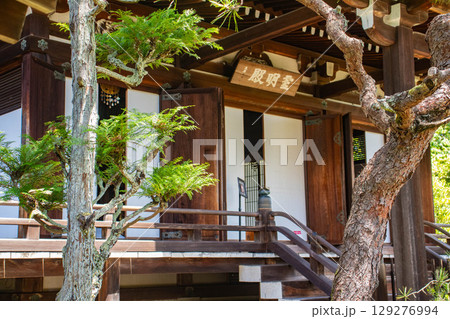 【京都風景】仁和寺 池泉越しの五重塔と気品ある庭 【京都風景】仁和寺 池泉越しの五重塔と気品ある庭 129276994