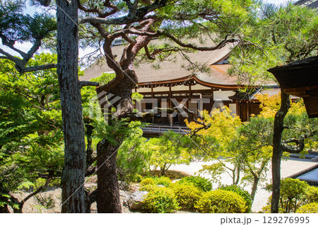 【京都風景】仁和寺 池泉越しの五重塔と気品ある庭 【京都風景】仁和寺 池泉越しの五重塔と気品ある庭 129276995