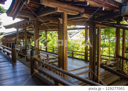 【京都風景】仁和寺 池泉越しの五重塔と気品ある庭 【京都風景】仁和寺 池泉越しの五重塔と気品ある庭 129277001