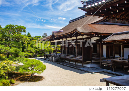【京都風景】仁和寺　池泉越しの五重塔と気品ある庭 129277007