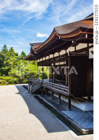 【京都風景】仁和寺 池泉越しの五重塔と気品ある庭 【京都風景】仁和寺 池泉越しの五重塔と気品ある庭 129277010