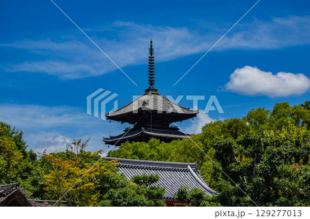 【京都風景】仁和寺 池泉越しの五重塔と気品ある庭 【京都風景】仁和寺 池泉越しの五重塔と気品ある庭 129277013