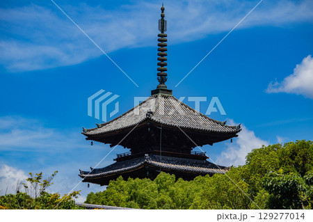 【京都風景】仁和寺　池泉越しの五重塔と気品ある庭 129277014