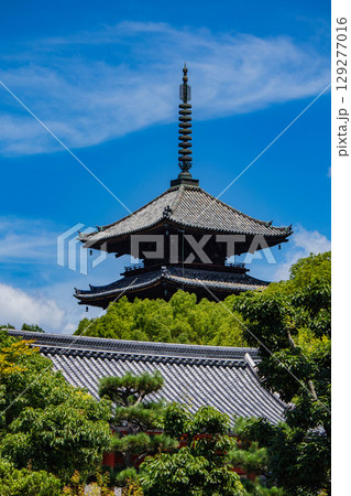 【京都風景】仁和寺 池泉越しの五重塔と気品ある庭 【京都風景】仁和寺 池泉越しの五重塔と気品ある庭 129277016