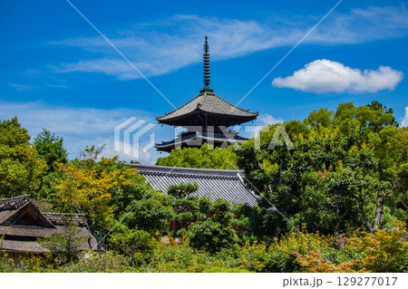 【京都風景】仁和寺 池泉越しの五重塔と気品ある庭 【京都風景】仁和寺 池泉越しの五重塔と気品ある庭 129277017