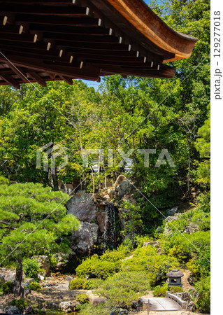 【京都風景】仁和寺　池泉越しの五重塔と気品ある庭 129277018