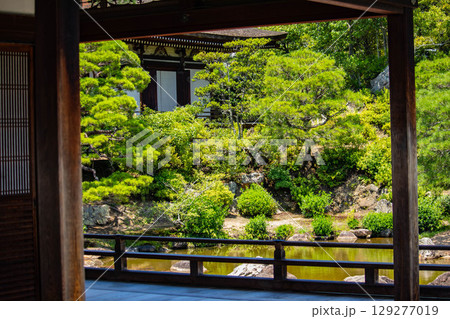 【京都風景】仁和寺 池泉越しの五重塔と気品ある庭 【京都風景】仁和寺 池泉越しの五重塔と気品ある庭 129277019