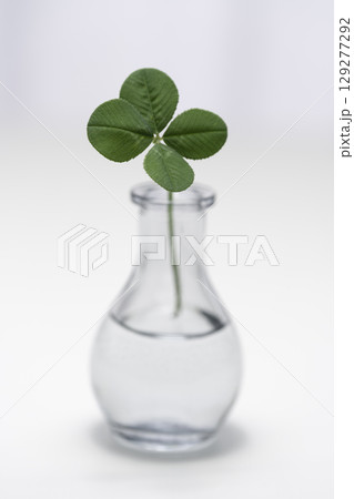 白いテーブルに置いた1輪挿しの四つ葉のクローバー 129277292