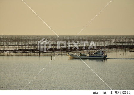 大牟田市 有明海 海苔畑、 大牟田市 有明海 海苔畑、 129278097